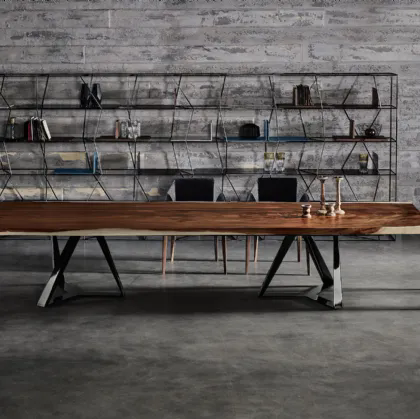 Libreria Lexington di Bontempi