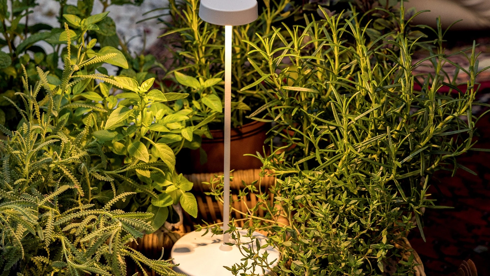 Lampada da esterno Swap di Zafferano