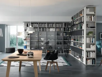 Libreria Modo Angolare Divisoria in laccato opaco e vetro di Sangiacomo